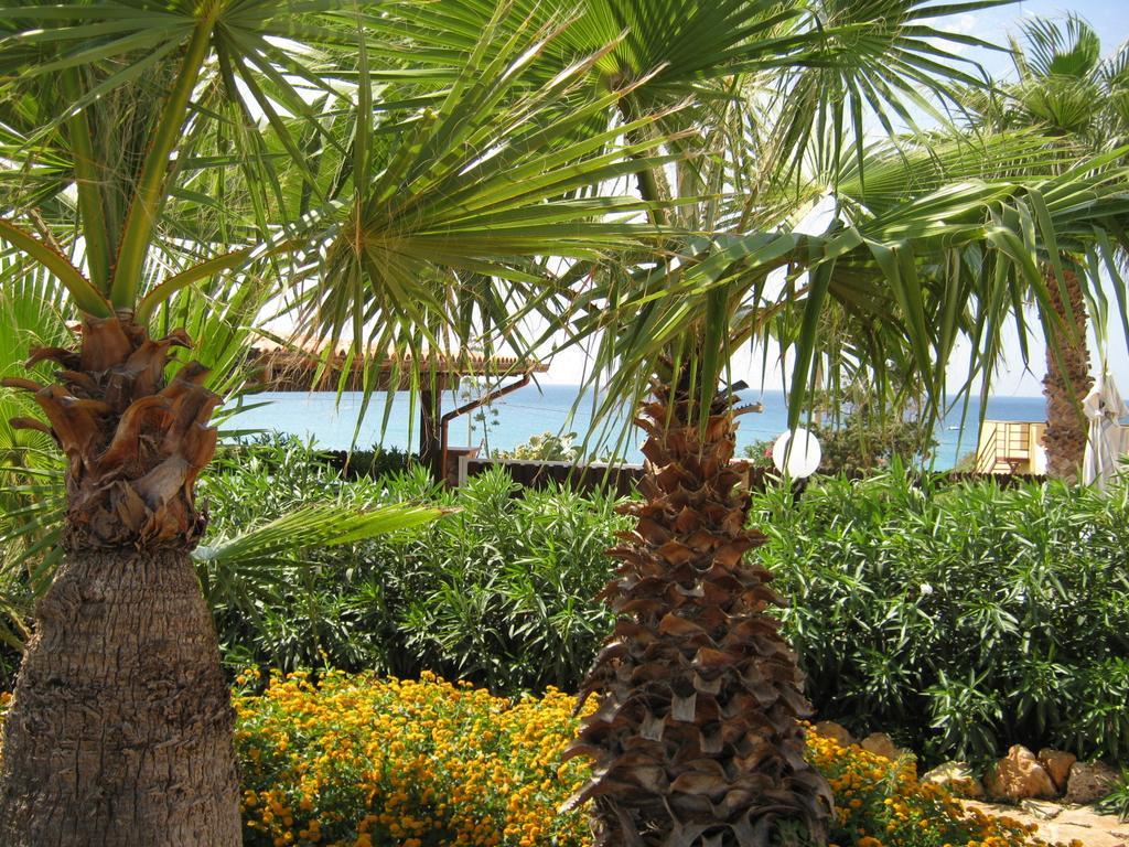 Villa Baia Di Cornino 쿠스토나치 객실 사진